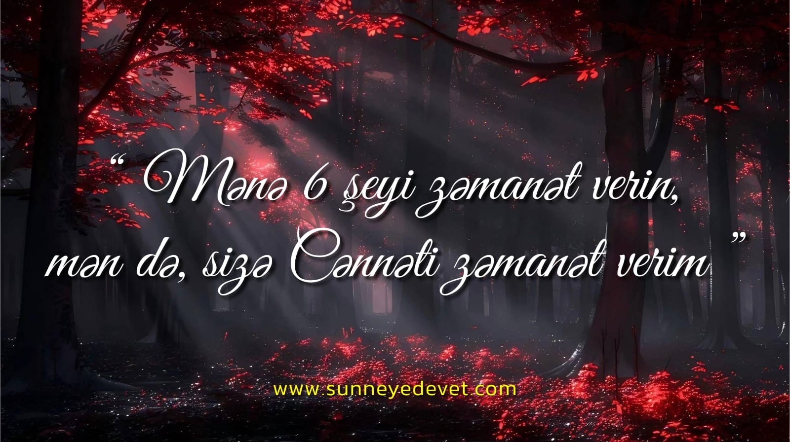 Mənə altı şeyi zəamnət verin …